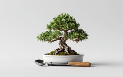 Best Bonsai Tool Sets for Beginners and Enthusiasts