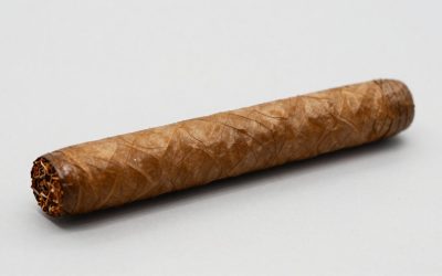 Best Cigar Humidors for Reliable Storage