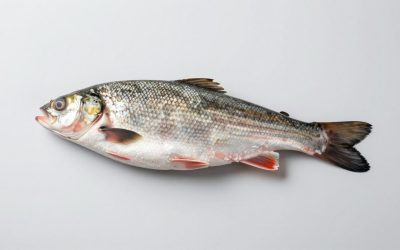 Best Fish Fryers for Crispy Seafood at Home