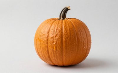 Best Pumpkin Beers for Fall: Top Seasonal Picks